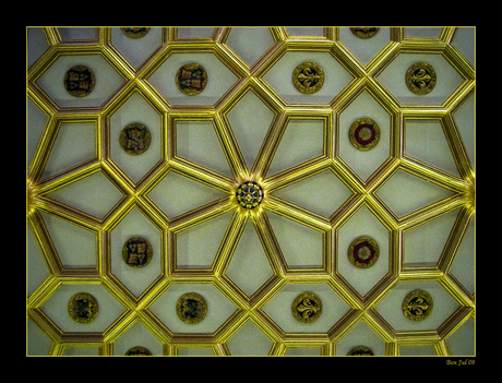 Plafond detail