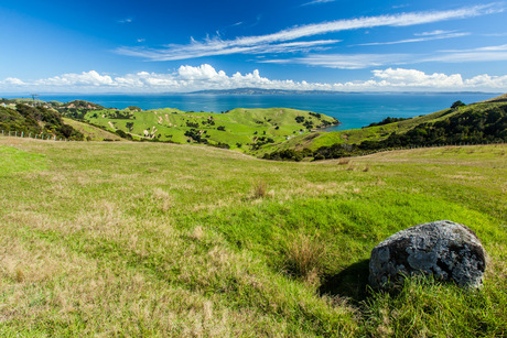 Schiereiland Coromandel in Nieuw Zeeland