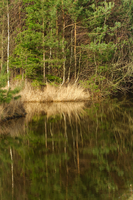 Zo glad als een ......