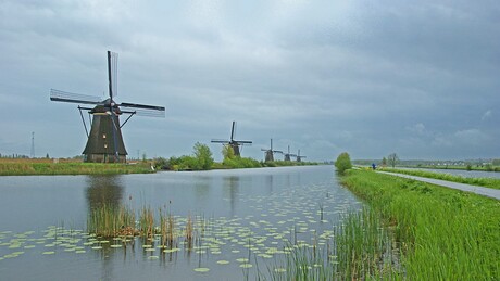 Kinderdijk