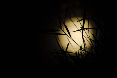Nachtelijke maan weerspiegeling