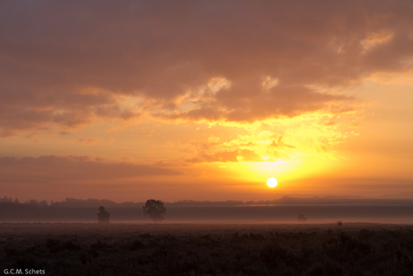 Ginkelse Heide_3.jpg