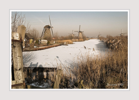 winter in Kinderdijk 2
