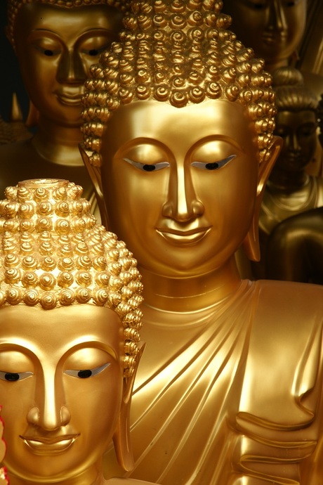 Buddhafaces