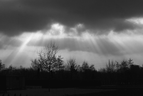 Rays Of Light