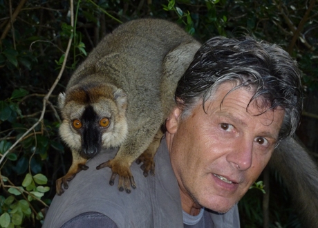 2013 Lemuur Madagascar Wim Peters.JPG