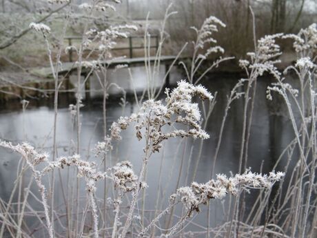 Winter in Meppel.jpg