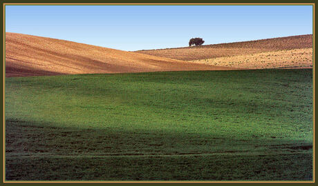 Castilla-La Mancha