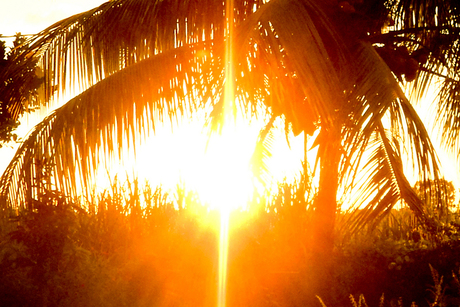 Sunset in Mauritius