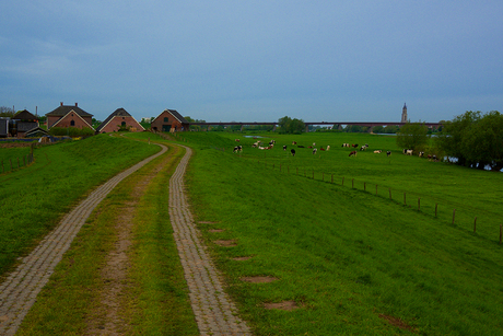 Hollandslandschap