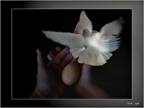 Vooruitgang....Gestempeld EI..