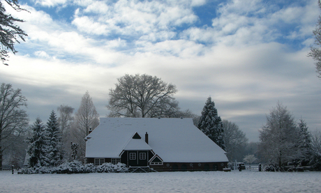 Winter 2010 in Driene