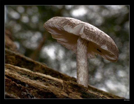 Lekkere hangen.