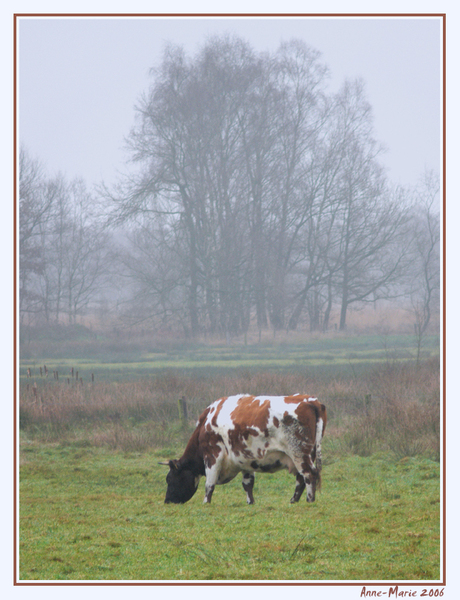 1e kerstdag in Twente