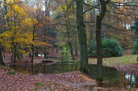 Herfst op de Veluwe