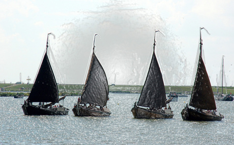 Botters in Enkhuizen