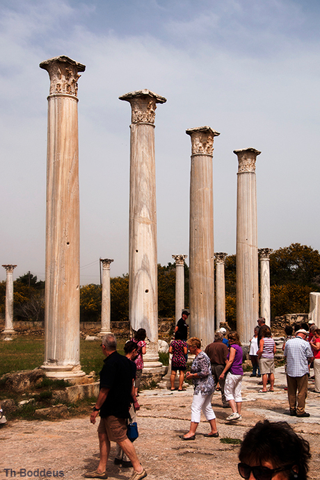 Salamis opgraving forum