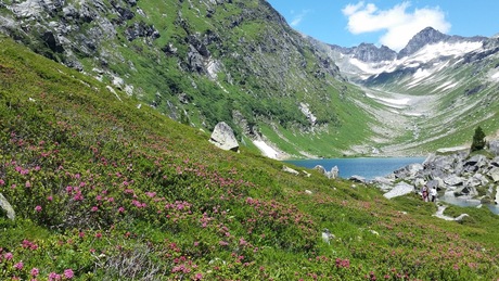 De prachtige natuur rondom de Gross Glockner