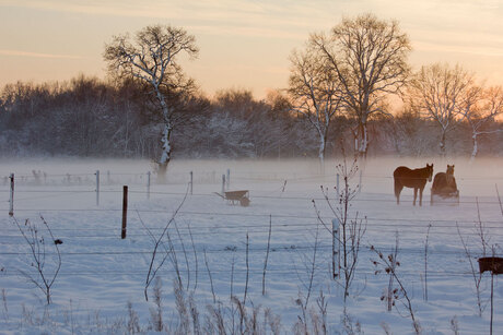 Grondmist en sneeuw