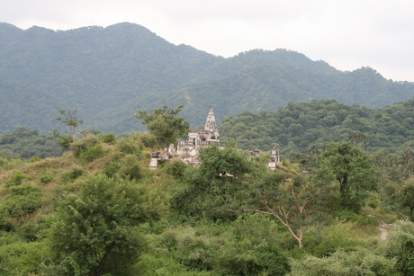 Tempel in de jungle