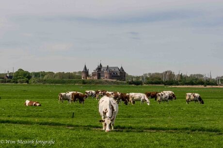 Kasteel dames voor hun slot