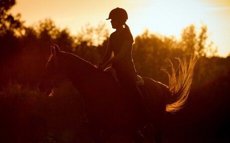 Silhouette in de avond