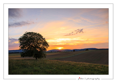 Swiss sunset