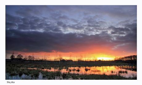 Brabants Landschap.