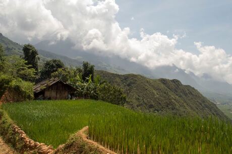 Huisje in het rijstveld