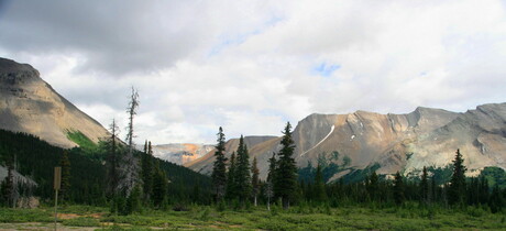 Icefields parkway 01