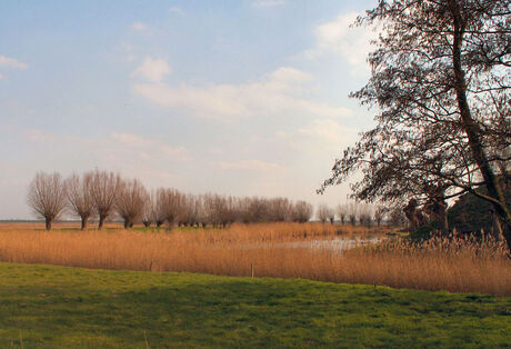 Natuur bij Willemstad