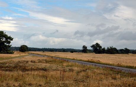 Eindeloze Veluwe 2