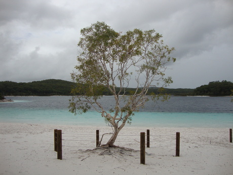 Fraser Island