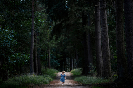 Het bos ontdekken