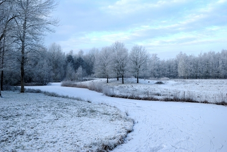 Sneeuw en rijp, een wonderland.