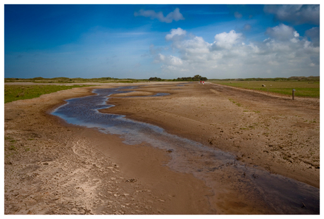 Texel