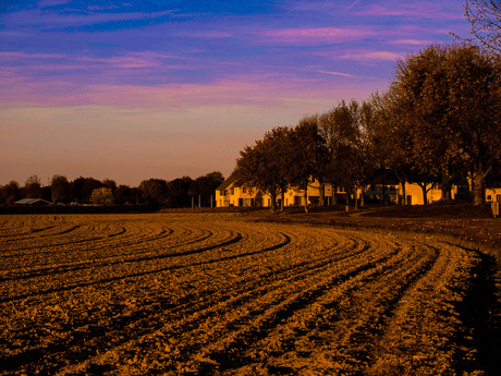 Limburgs landschap