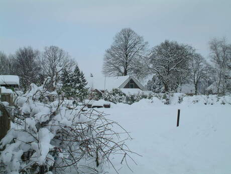 winter in Hoogeveen