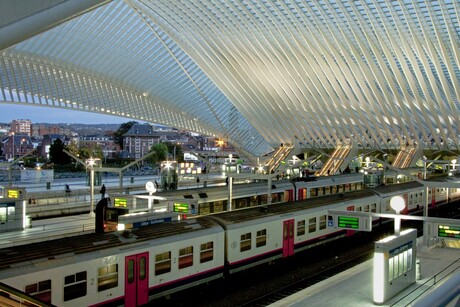 Station Guillemins Luik