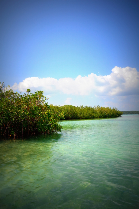 Caribbean sea