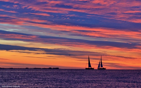Zonsopkomst Den Helder (19-7-2015)