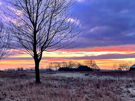 Kleurenpracht tijdens de ochtendwandeling