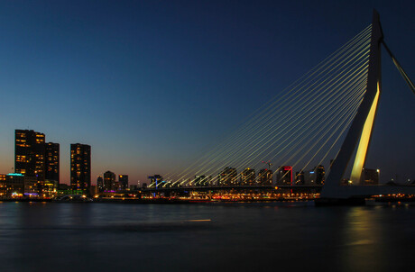 Rotterdam rocks! (Erasmusbrug)