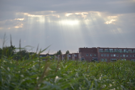 wolkenlicht