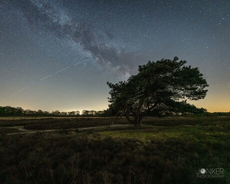 Under the stars