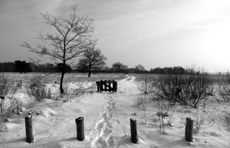 Winterlandschap 2