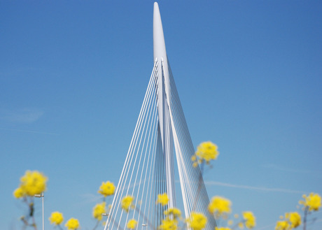 Prins Claus brug