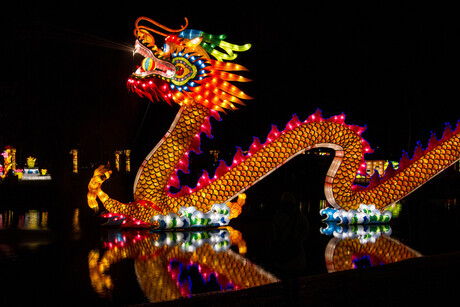 Draak @ China Light Rotterdam (2)