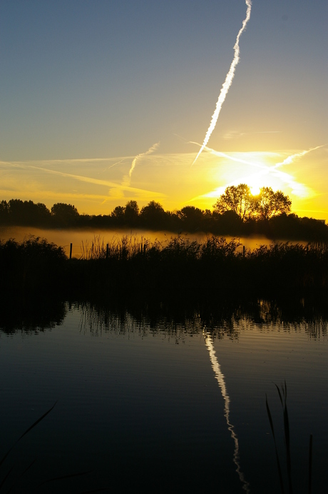 Langs de Rotte