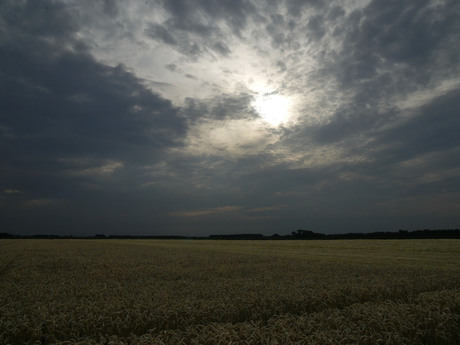 landschap in avondlicht